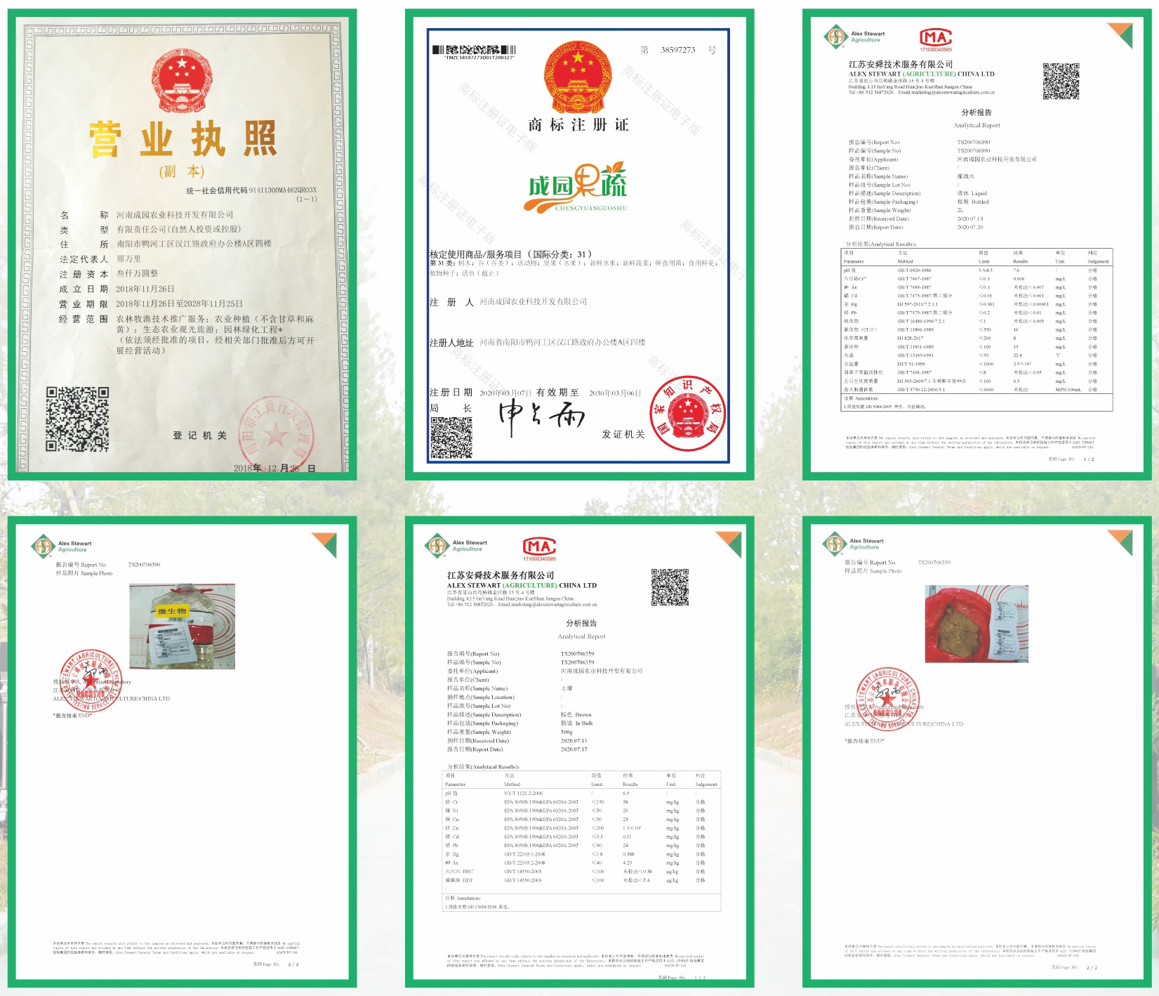 &#20061;&#28216;&#23448;&#26041;&#31471;&#20837;&#21475;&#45;&#20061;&#28216;&#40;&#20013;&#22269;&#41;