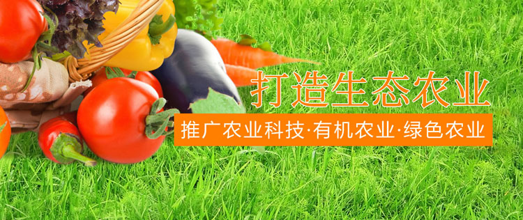 &#20061;&#28216;&#23448;&#26041;&#31471;&#20837;&#21475;&#45;&#20061;&#28216;&#40;&#20013;&#22269;&#41;